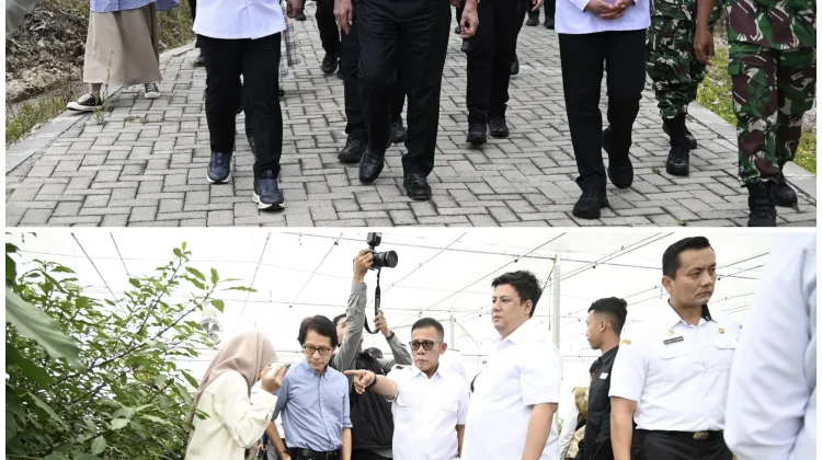 DEN Rancang Kawasan Toba Pusat Pertanian Berbasis AI