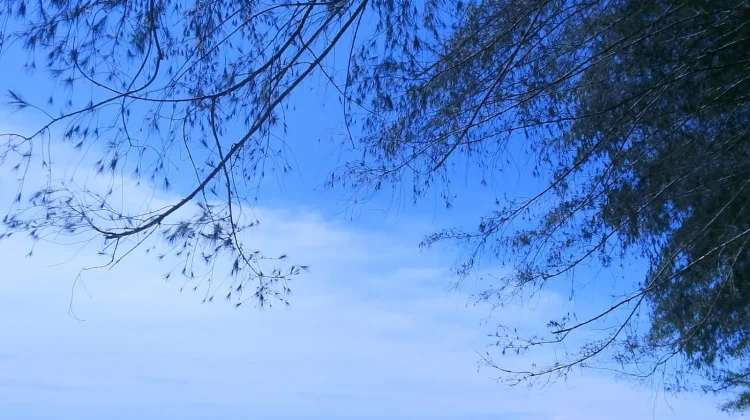 Kenyamanan di Tempat Wisata