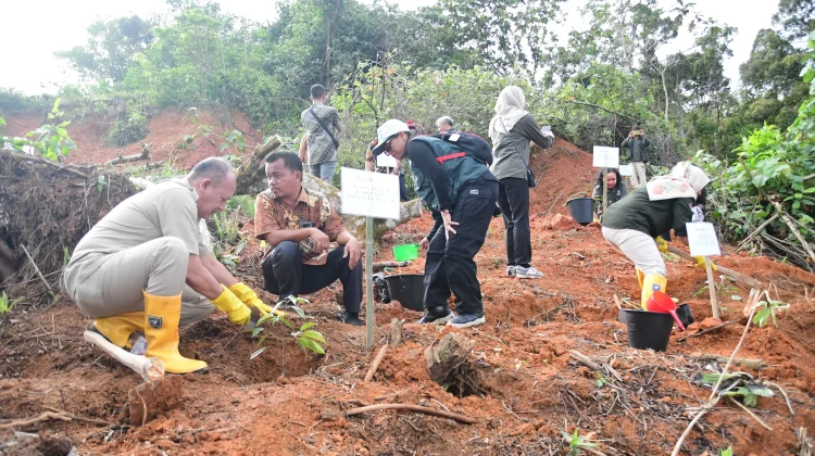 Aksi Penanaman Pohon di Sipange Tapteng