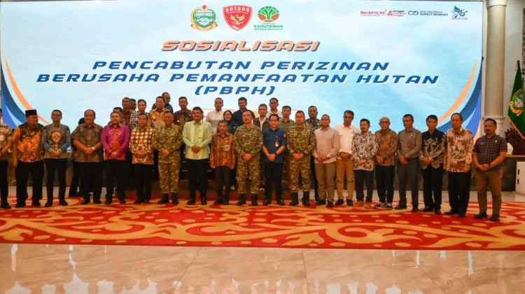 Bupati Humbahas Ikuti Sosialisasi Pencabutan PBPH di Medan