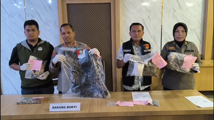 Penyelundup Kulit Macan Dahan Ditangkap di Padangsidimpuan