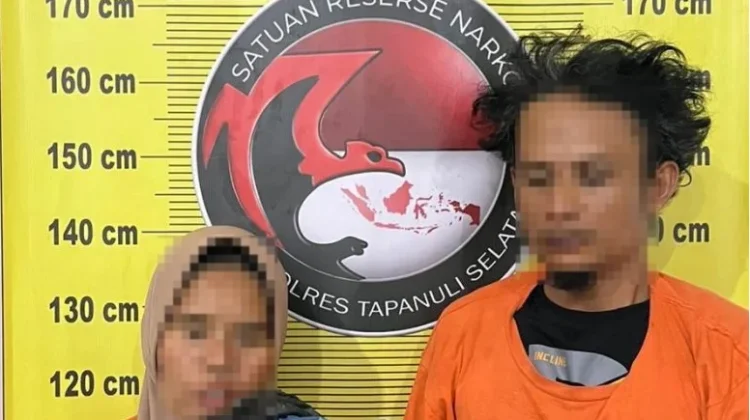 Penyelundupan 3 Kg Ganja Digagalkan Polres Tapsel