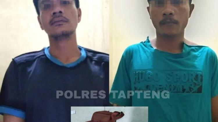 Curas di Aek Horsik Terungkap, Dua Pelaku Dibekuk Polisi