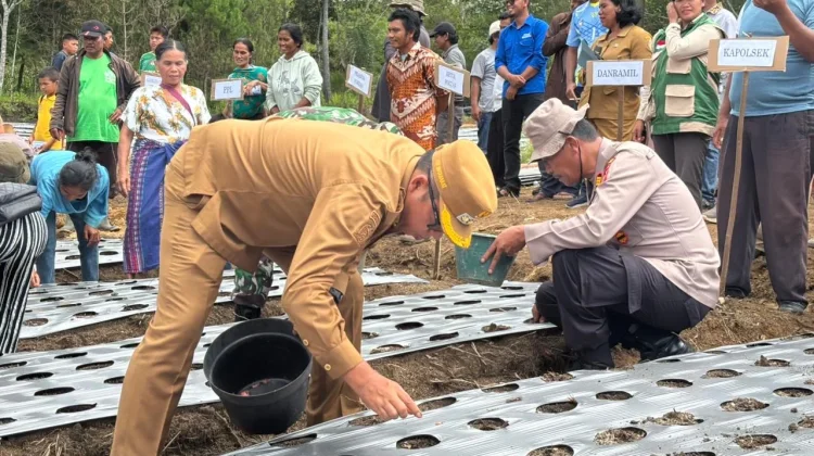 Bupati JTP Setujui Traktor dan Irigasi untuk Kelompok Tani