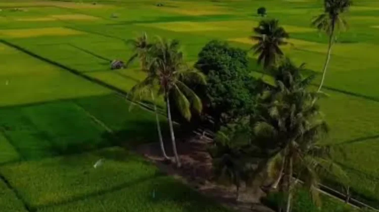 Desa di Tapanuli Tengah, Berpotensi Menjadi Kawasan Agrowisata