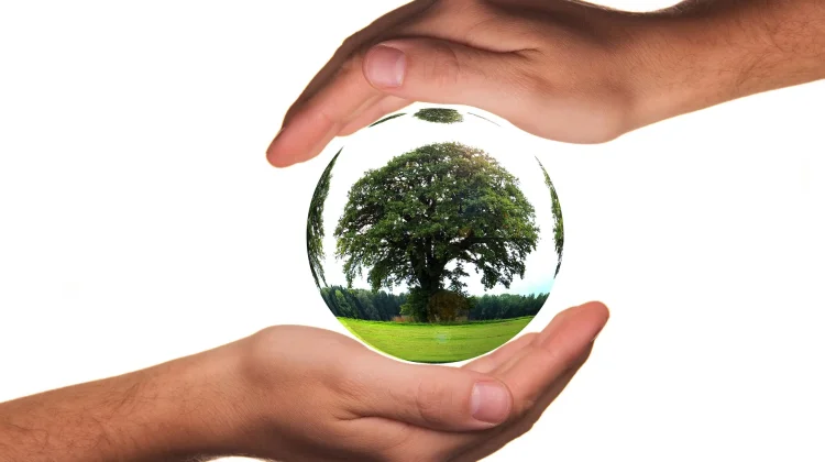 Perbedaan Eco-Friendly, Sustainable, dan Zero Waste