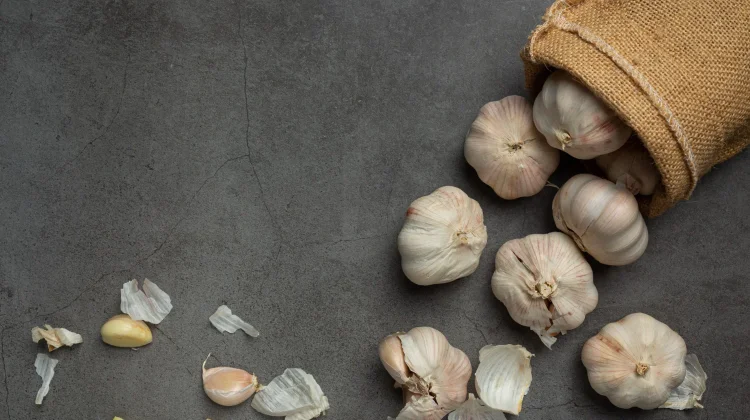 Black Garlic, Inovasi Pangan Bernilai Ekonomi