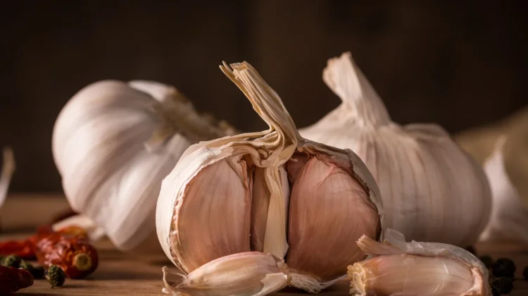 Popularitas Black Garlic Bagi Kesehatan