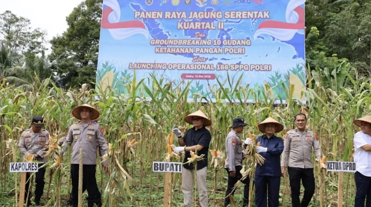 Pemkab Madina hadiri Panen Raya Jagung dan Peluncuran Empat SPPG