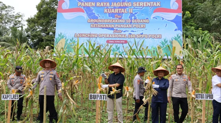 Polres Mandailing Natal Gelar Panen Raya Jagung dan Resmikan SPPG 3