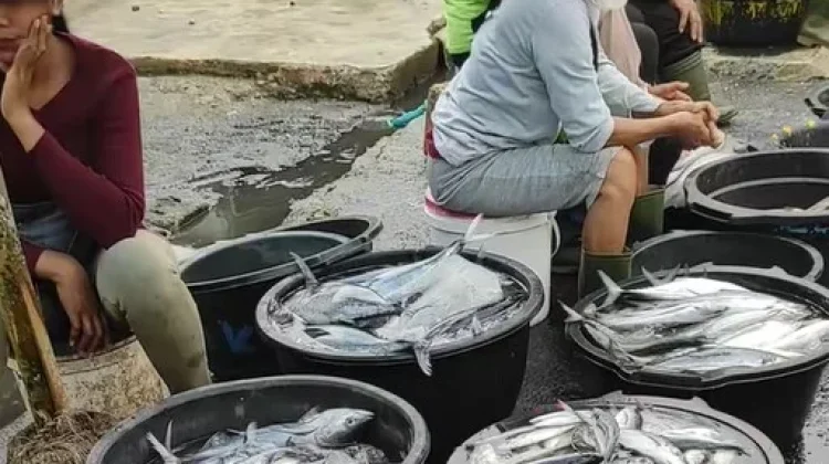 Cuaca Buruk Picu Kenaikan Harga Ikan Laut di Sibolga