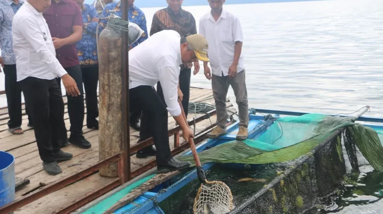 Panen Raya Ikan Nila pada Keramba Jaring Apung (KJA) yang dikelola BUMDes Saurdot