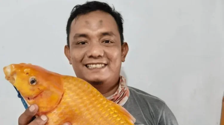 Lokasi Memancing Ikan di Sibolga-Tapteng, Ini Rekomendasinya