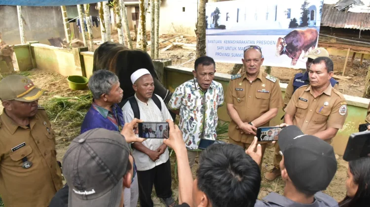Presiden-Wapres Bantu Sapi Kurban untuk Masjid Al-Huda Hutanabolon