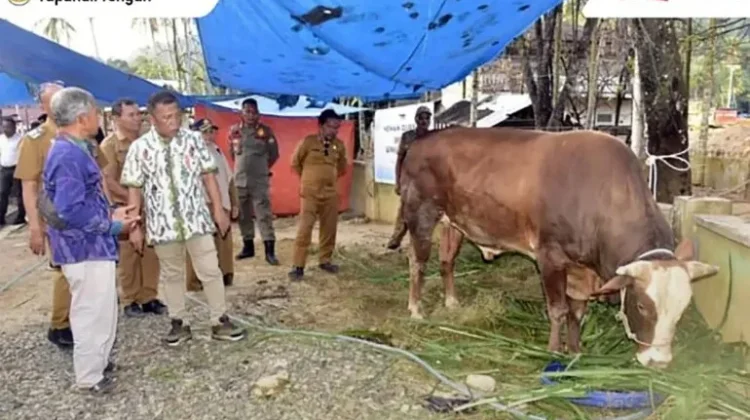 Bupati Tapteng Serahkan Bantuan Hewan Kurban Presiden untuk Warga Tukka
