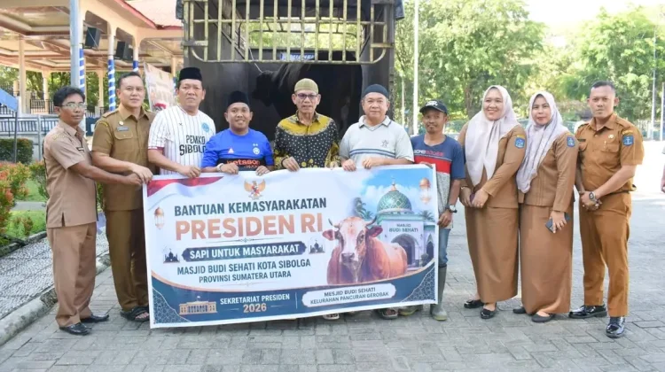 Pemko Sibolga Terima Bantuan Sapi Kurban Presiden