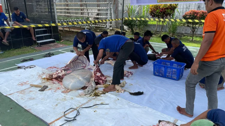 Melalui Kurban, Umat Islam Dilatih Ikhlas dan Peduli Sesama