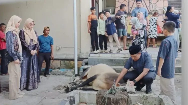 Polres Padangsidimpuan Sembelih Delapan Ekor Sapi Kurban