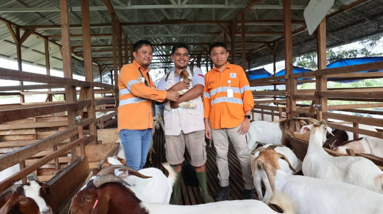 Martabe Social Enterprise Buka Peluang Ekonomi Baru Berkelanjutan