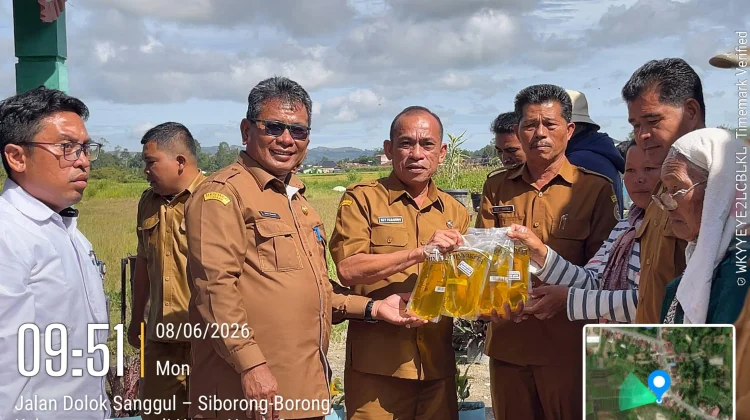 Bupati Taput Gandeng Bulog Salurkan Bantuan Pangan untuk 42.741 KK