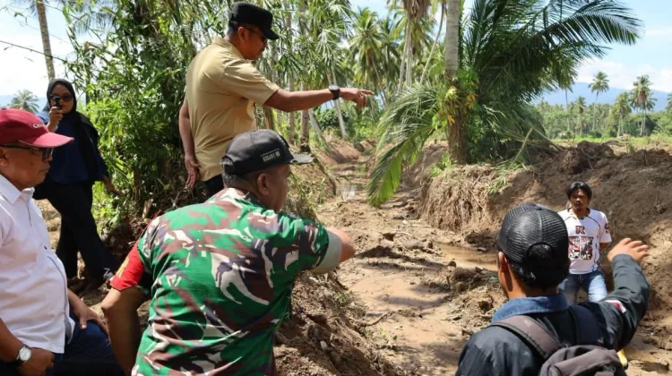 Bupati Madina Tinjau Lahan Pertanian Pascabanjir di Tiga Kecamatan