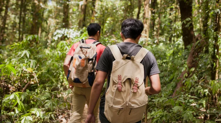 Jangan Salah Sebut, Ini Perbedaan Hiking dan Trekking