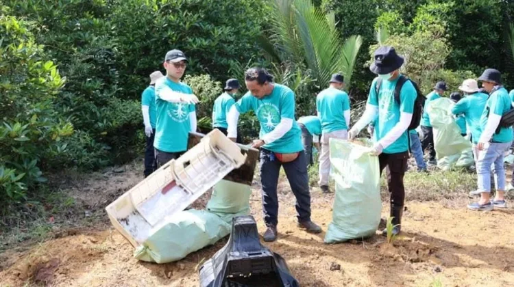 Bersih Mangrove dan Pelatihan Terumbu Karang Artifisial di Tapteng