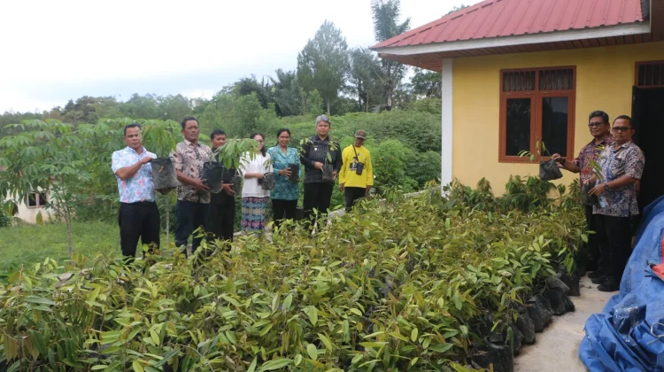 Pemkab Taput Dorong Sektor Pertanian Produktif