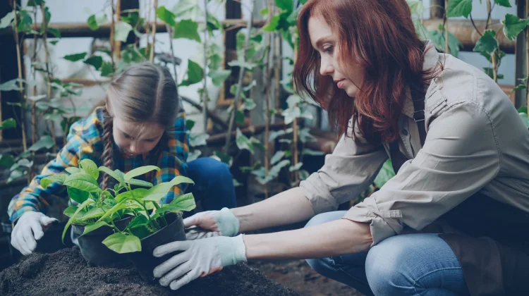 Liburan Produktif, Anak Diajak Berkebun