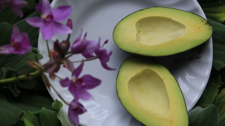 Ingin Diet Berhasil, Coba Konsumsi Alpukat