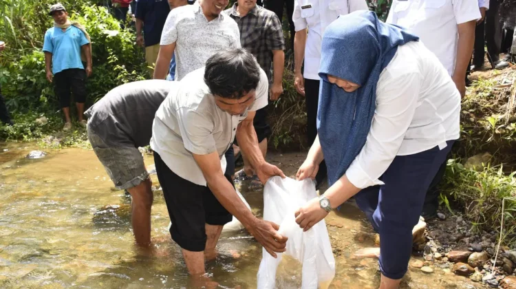 Wabup Madina Dorong Pelestarian Lubuk Larangan untuk Jaga Ekosistem Sungai