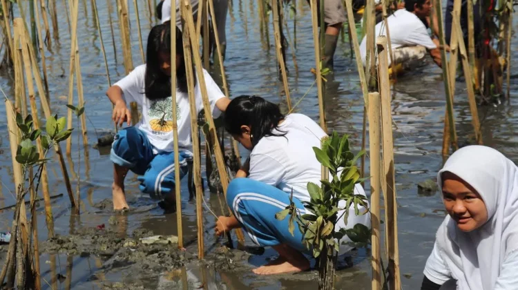 Aksi Muda Penjaga Pantai Tanam Mangrove Sibolga