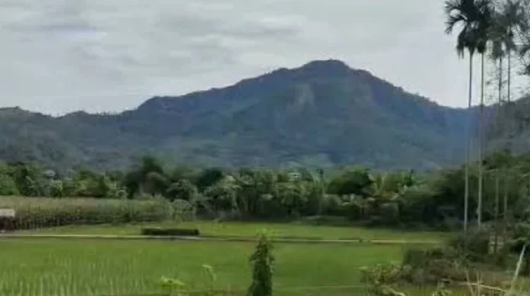 Petani Tapteng Keluhkan Pupuk Subsidi dan Pemasaran
