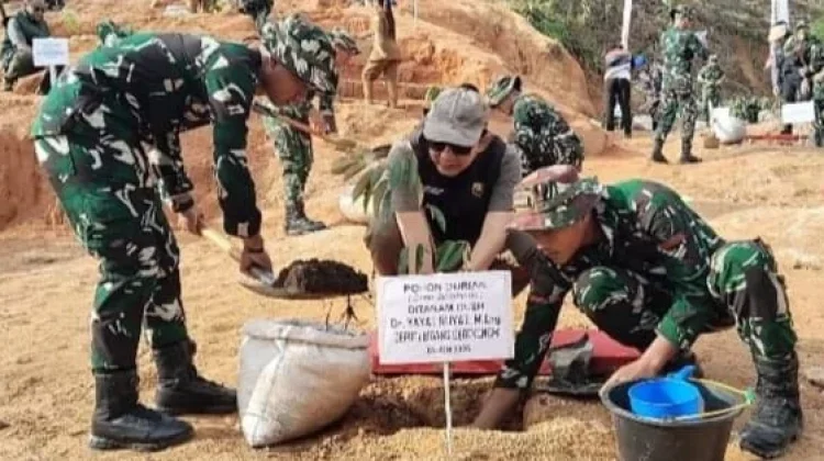 DPN Tanam Pohon di Wilayah Pascabencana Tapteng