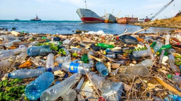 Sampah di Lautan Masalah Lingkungan yang Semakin Mendesak