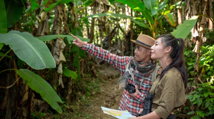 Peran Penting Biodiversitas dalam Menjaga Ekosistem