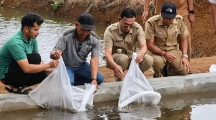 Benih dan Pakan Ikan untuk Pokdakan Tapsel Disalurkan