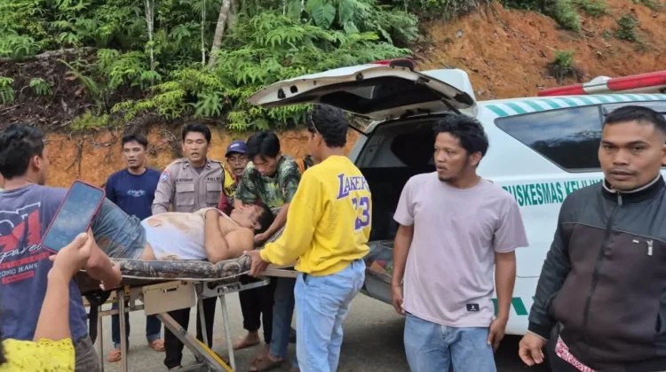 Minibus Masuk Jurang Kedalaman 60 Meter di Sitahuis