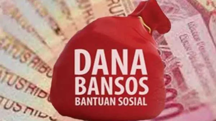 Peran Pemerintah Desa Tenentukan Penyaluran Bantuan Tepat Sasaran