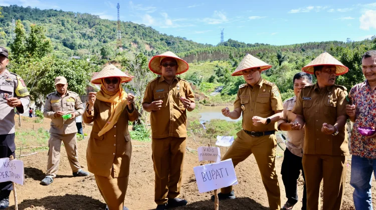 Pemkab Tapanuli Selatan dan Pemprov Sumut Tanam Perdana Bawang Merah di Huntara Ae