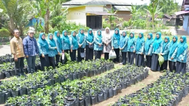 TP PKK Padangsidimpuan Matangkan Huta Padang Hadapi Evaluasi PKK Sumut