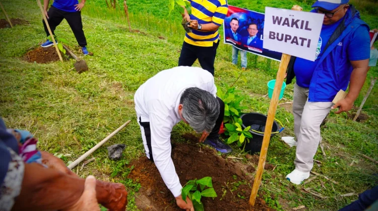 Pemkab Taput Bersama DPC Partai Demokrat Gelar Gotong Royong dan Tanam Pohon