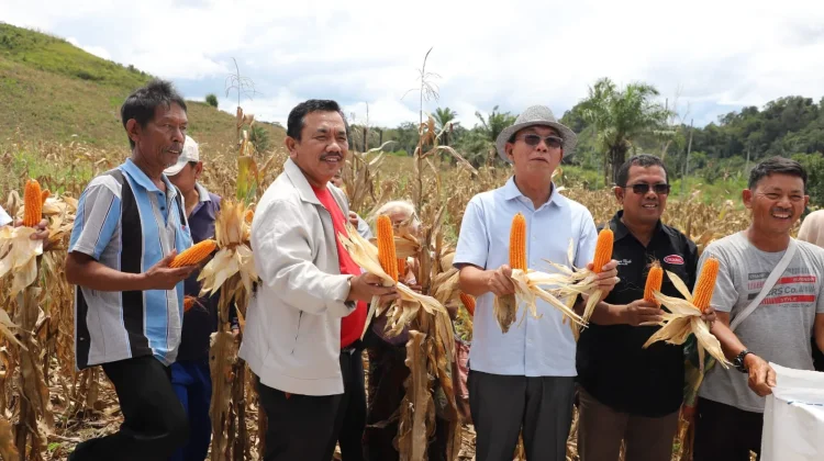 Bupati Tapsel: Jangan Ada Lagi Lahan Pertanian Menganggur