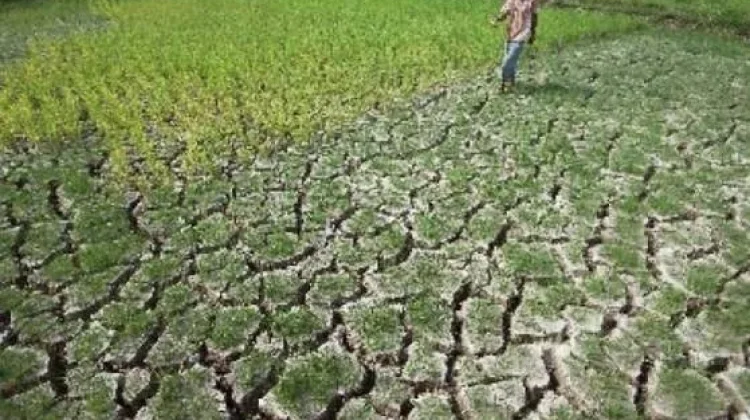 Perubahan Iklim Akibatkan Kekeringan dan Krisis Air Bersih