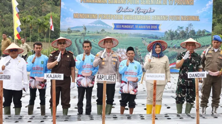 Wabup Madina Ikut Tanam Bawang Putih Dukung Swasembada Pangan