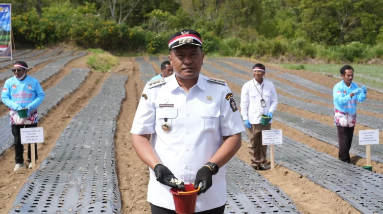 Bupati Toba Dorong Evaluasi dan Penguatan Budidaya Bawang Putih