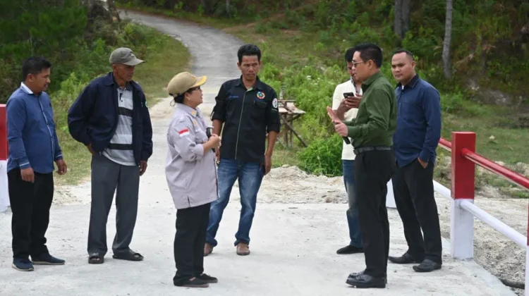 Bupati Humbahas Tinjau Jembatan Perintis Garuda “Tambok Naimbaru” Doloksanggul