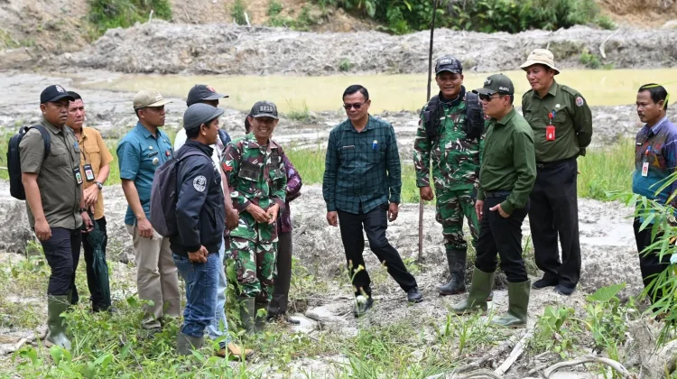 Bupati Humbahas Tinjau Rehabilitasi Sawah terdampak Bencana