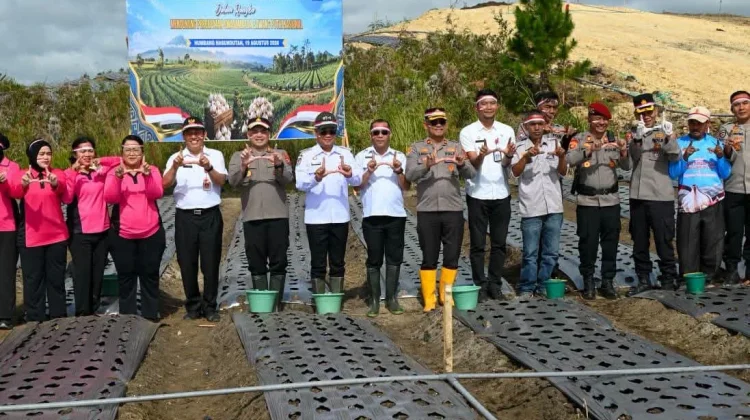 Bupati dan Kapolres Humbahas Laksanakan Penanaman Bawang Putih Serentak