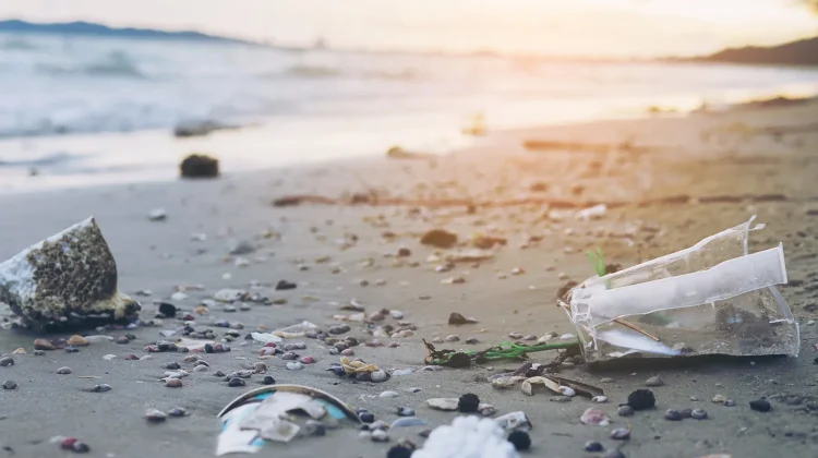 Sampah Plastik Berujung Mikroplastik Berbahaya
